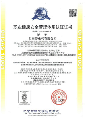 2019-OHSAS 18001 職業(yè)健康安全管理體系認(rèn)證證書(shū)  中文版